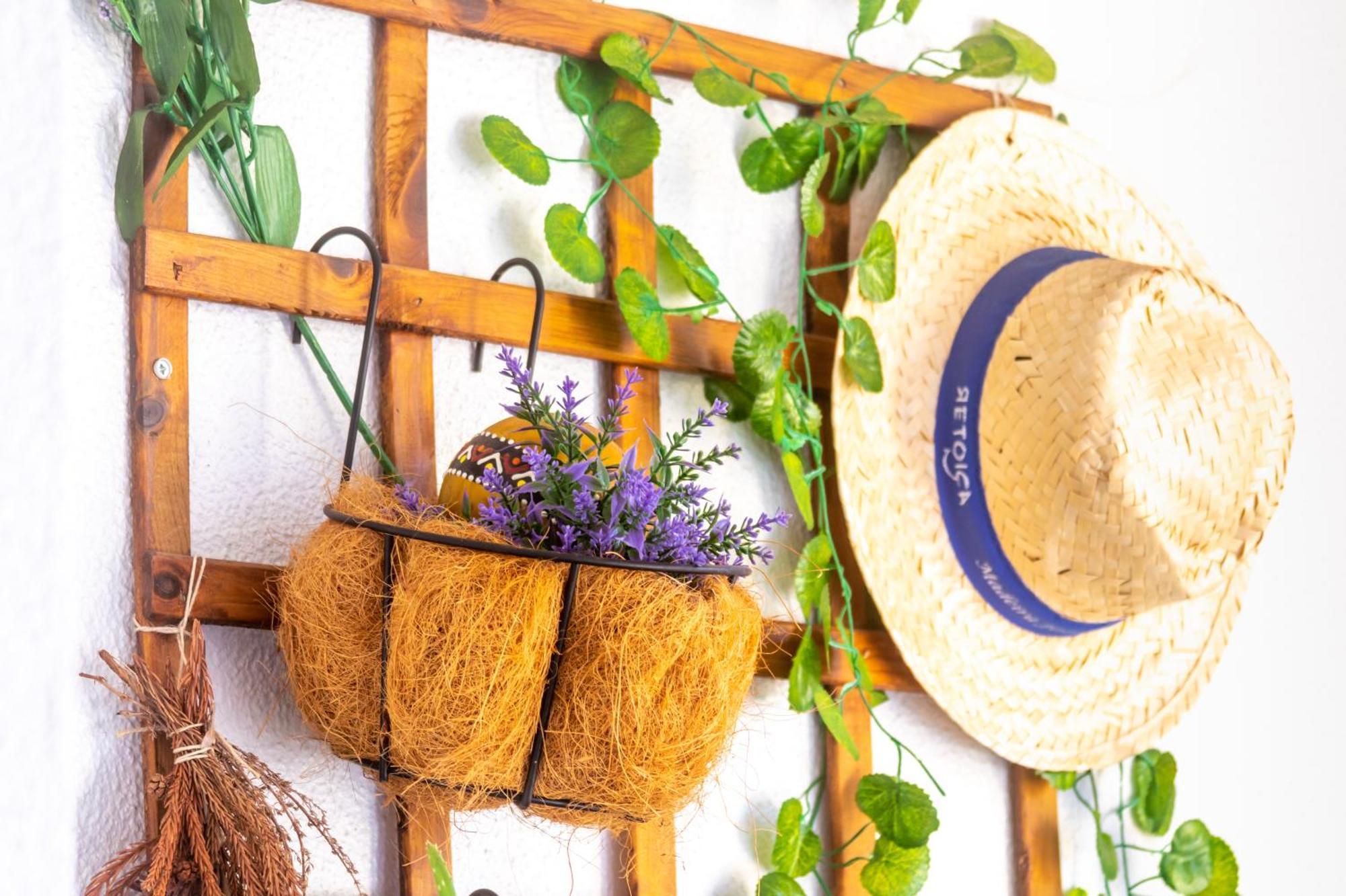 Maria Casa Branca By Alma Holiday Rentals フンシャル エクステリア 写真